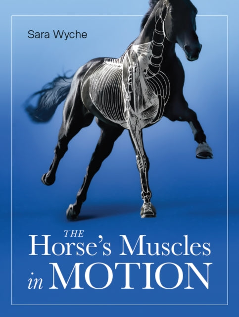 Book cover of: Horse's Muscles in Motion. By: Sara Wyche
