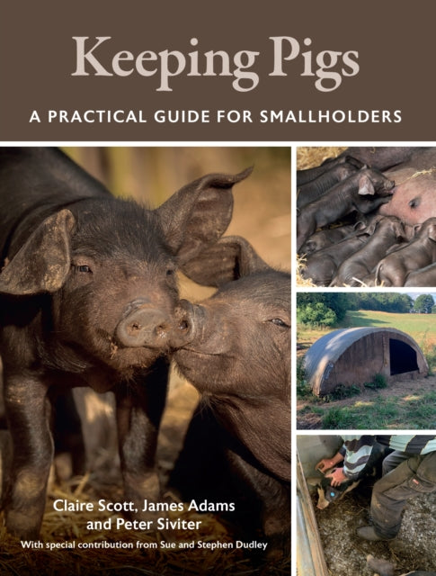 Keeping Pigs, A Practical Guide for Smallholders 9780719842573 Claire Scott
