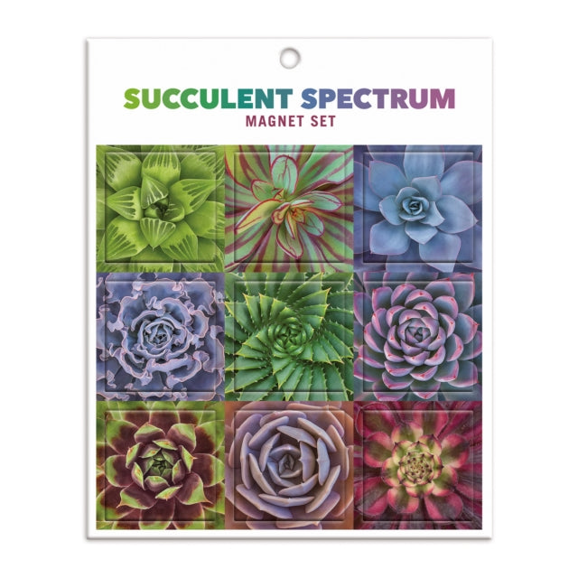 Book cover of: Succulent Spectrum Magnet Set