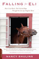 Book cover of: Falling for Eli. By: Nancy Shulins