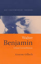 Book cover of: Walter Benjamin
