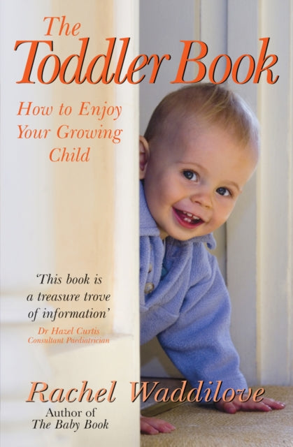 Book cover of: Toddler Book. By: Rachel Waddilove