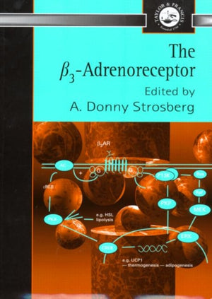 ß3 Adrenoreceptor