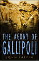 Book cover of: Agony of Gallipoli. By: Laffin, John.