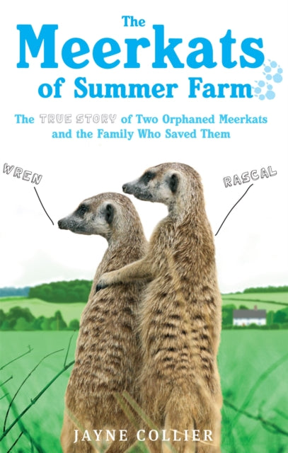 Book cover of: Meerkats Of Summer Farm