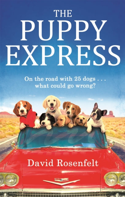 Book cover of: Puppy Express