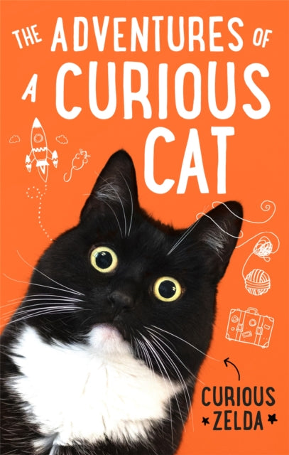 Adventures of a Curious Cat, wit and wisdom from Curious Zelda, purrfect for cats and their humans 9780751581195 Curious Zelda