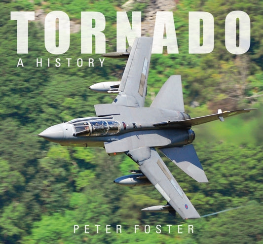 Book cover of: Tornado. By: David Foster