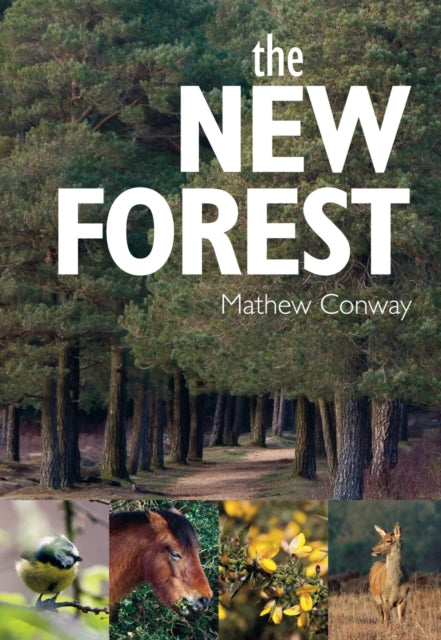 Book cover of: New Forest. By: Mathew Conway