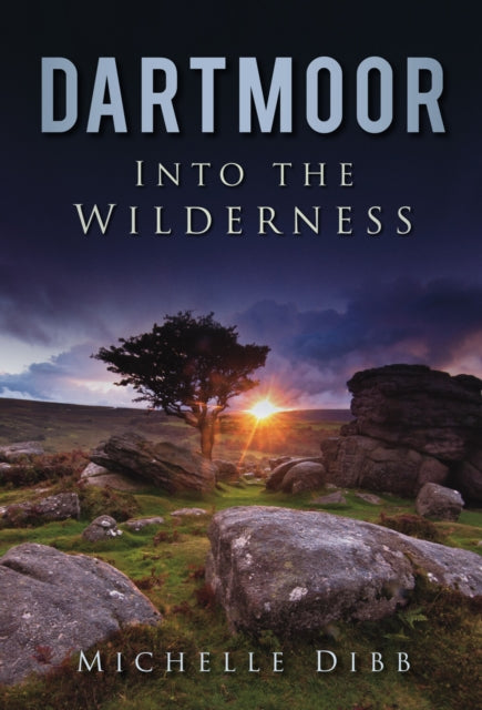Book cover of: Dartmoor: Into the Wilderness. By: Michelle Dibb