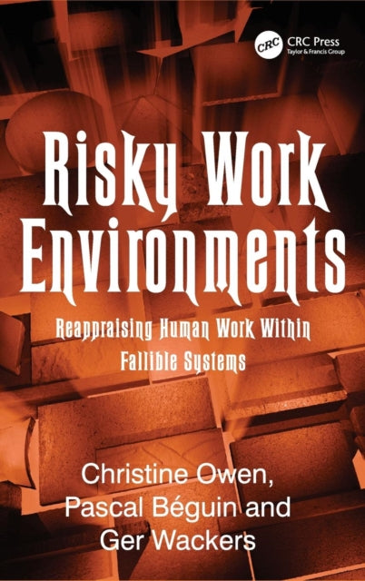 Book cover of: Risky Work Environments. By: Christine Owen