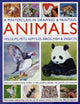 Book cover of: Masterclass in Drawing & Painting Animals