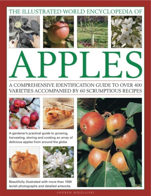 Book cover of: Illustrated World Encyclopedia of Apples. By: Andrew Mikolajski