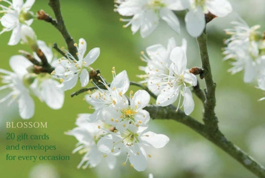 Book cover of: Card Box of 20 Notecards and Envelopes: Blossom