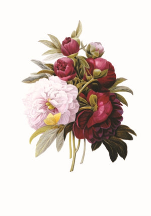 Memo Block: Redoute Peony