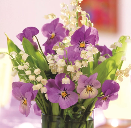 Book cover of: Memo Block: Purple Viola. By: Peony Press