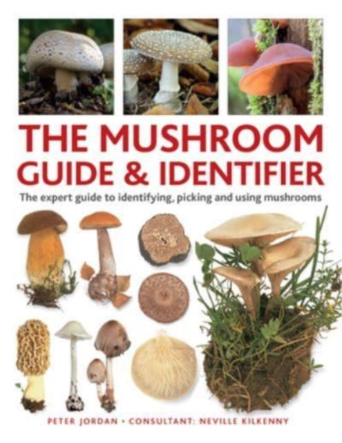 Mushroom Guide & Identifer, An expert manual for identifying, picking and using edible wild mushrooms found in the British Isles 9780754835332 Peter Jordan