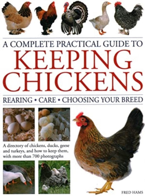 Keeping Chickens, Complete Practical Guide to, Rearing; Care; Choosing Your Breed