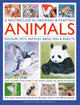 Masterclass in Drawing & Painting Animals (Wildlife, Pets, Reptiles, Birds, Fish & Insects)