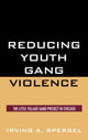Book cover of: Reducing Youth Gang Violence. By: Irving A. Spergel