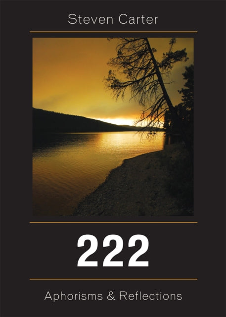 Book cover of: 222. By: Steven Carter