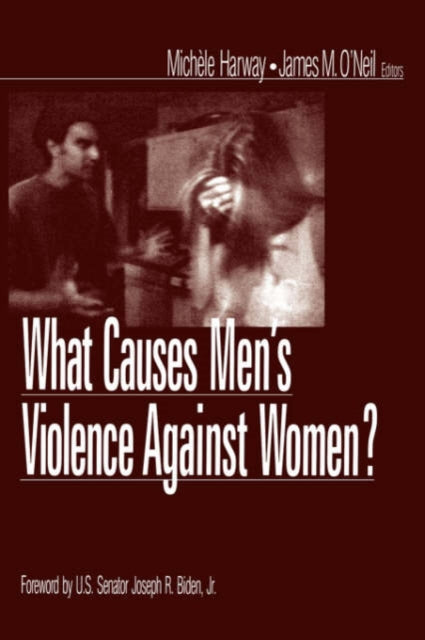 Book cover of: What Causes Men's Violence Against Women?
