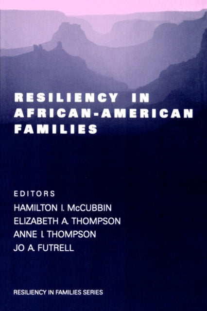 Book cover of: Resiliency in African-American Families