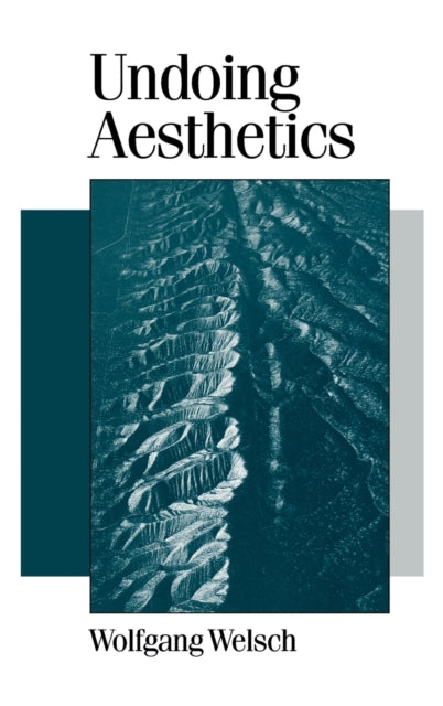 Book cover of: Undoing Aesthetics