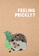 Book cover of: Feeling Prickly Journal. By: Matt Garczynski