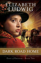 Book cover of: Dark Road Home. By: Elizabeth Ludwig