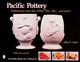 Book cover of: Pacific Pottery. By: Jeffrey B. Snyder