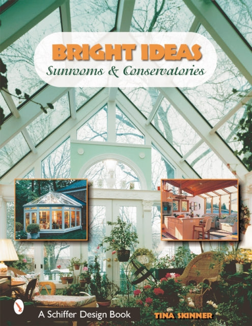 Book cover of: Bright Ideas. By: Tina Skinner