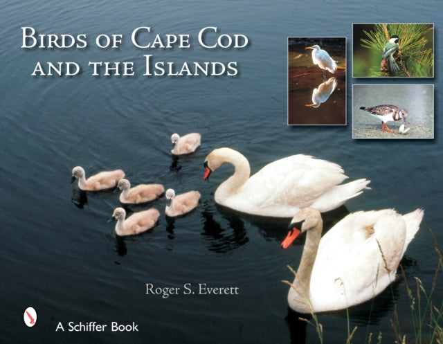 Book cover of: Birds of Cape Cod & The Islands. By: Roger S. Everett