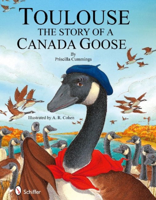 Book cover of: Toulouse. By: Priscilla Cummings