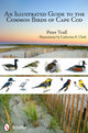 Book cover of: Illustrated Guide to the Common Birds of Cape Cod