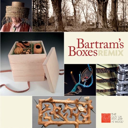 Book cover of: Bartram's Boxes Remix. By: Leah Douglas