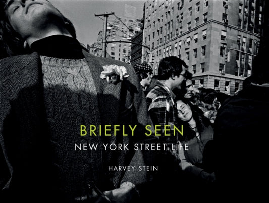 Book cover of: Briefly Seen. By: Harvey Stein