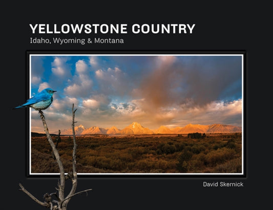 Book cover of: Yellowstone Country. By: David Skernick