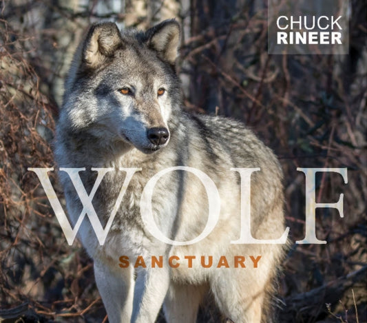 Book cover of: Wolf Sanctuary. By: Chuck Rineer