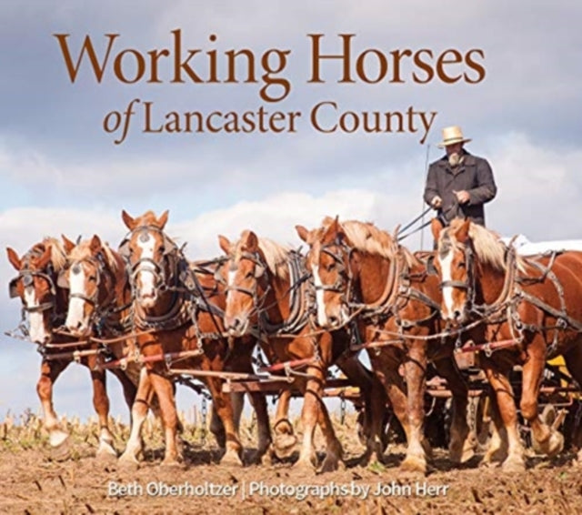 Book cover of: Working Horses of Lancaster County. By: Beth Oberholtzer