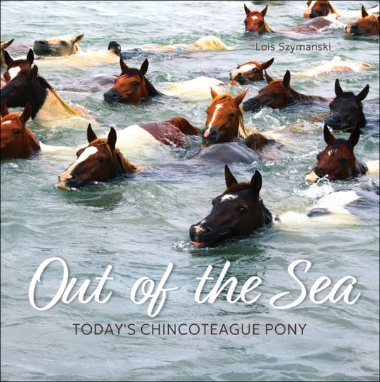 Book cover of: Out of the Sea