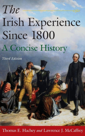 Irish Experience Since 1800: A Concise History