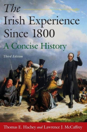 Irish Experience Since 1800: A Concise History