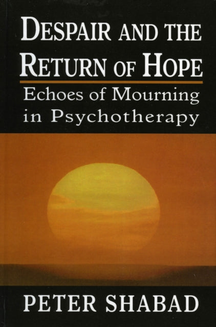Book cover of: Despair and the Return of Hope. By: Shabad Peter