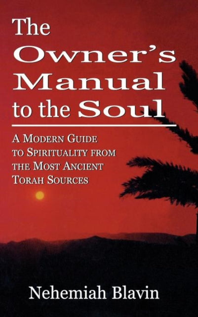 Book cover of: Owner's Manual to the Soul. By: Nehemiah Blavin