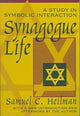 Book cover of: Synagogue Life