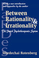 Book cover of: Between Rationality and Irrationality. By: Mordechai Rotenberg