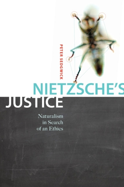 Book cover of: Nietzsche's Justice. By: Peter R. Sedgwick