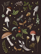 Book cover of: Mushroom Lined Journal. By: Editors of Chartwell Books