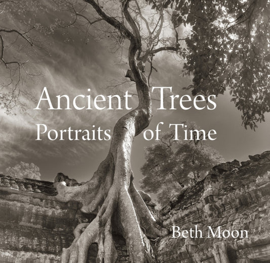 Book cover of: Ancient Trees. By: Beth Moon